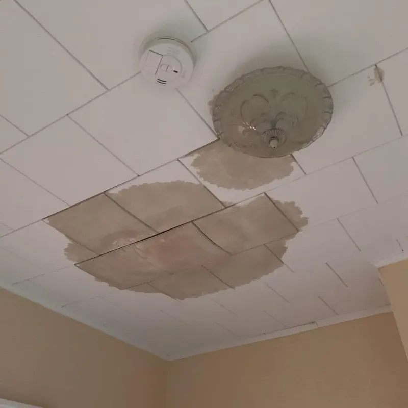 Ceiling Water Damage Repair in Meridianville, AL