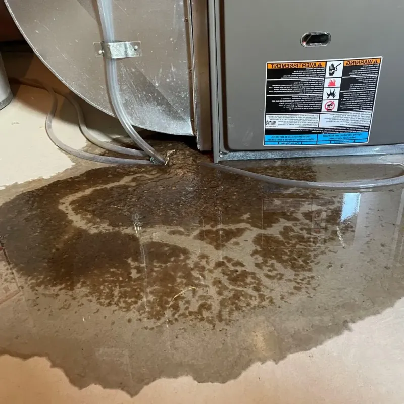 Pipe Burst and Leak Restoration in Meridianville, AL