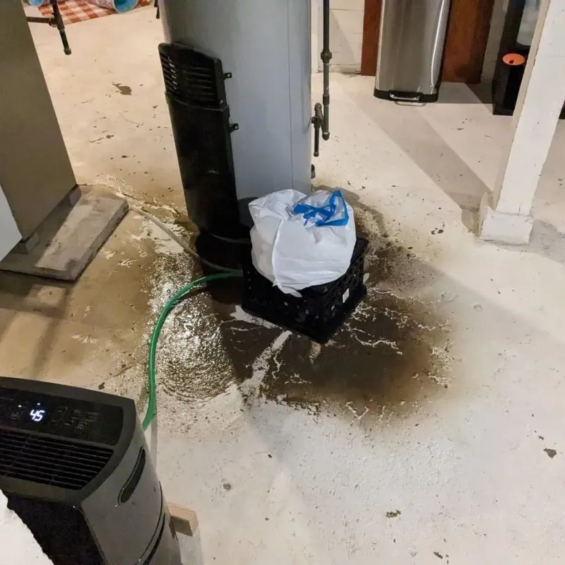 Sewage Backup Cleanup Service in Meridianville, AL